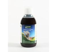 Precision Microbes Pro & Postbiotic Liquid Overall Health Digestion 300ml