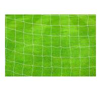 Precision Net 2.5 Mm Football Goal