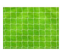 Precision Pro Football Goal Nets 4mm Braided (Pair) White 21' X 7'