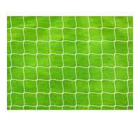 Precision Pro Net Soccer Goal 4 Mm