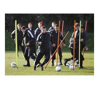 Precision Spring Action Boundary Poles (Pack Of 12) in Pale Orange Precision Pale Orange