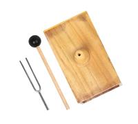 Precisions 512Hz Acoustics Tuning Fork Science Classroom Resonance Demonstration Instrument Wood and Metal Texture Physics Teaching Tool