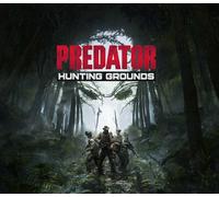 Predator: Hunting Grounds PC Steam CD Key