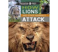 Predator vs Prey: How Lions and other Mammals Attack