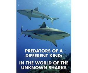 Predators of a Different Kind-In the World of the Unknown Sharks