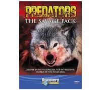 Predators: The Crawling Kingdom [DVD]