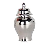predolo Ceramic Vase/Porcelain Ginger Jar/Tea Storage Jar/Ceramic Flower Vase for Storage Container, Living Room, Flower Arrangement, Desk, Silver
