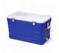 predolo Insulated Container with Ice Pack Chiller Easy to Carry for Anglers, Camping, Picnics, Cold-Chain Transport, Modern Minimalist Without Wheels