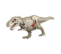 predolo Interactive Animal Body Model for Teaching. Biology Model with Removable Organs. Demonstration for Homeschooling, 3101