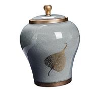 predolo Portable Porcelain Ginger Jar Food Storage Container Decorative Vase Tea Canister with Lid Sealed Storage Tank Can for Spice Loose Tea Sugar, Gray