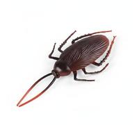 predolo Realistic Simulation Figure, Educational Toy for Classroom, Sensory Learning Resources, Animal Model for Kids Cognitive Play, Preschool Teaching Aid, Kids 3-12, Boys,Girls, Female Cockroach