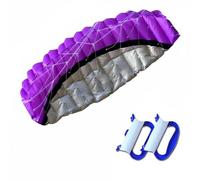 predolo Soft Parafoil Acrobatic Wind-Catching Double Line Parafoil Kite Portable Outdoor Toy for Park, Purple