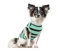 Preferhouse Dog Shirts for Small Dogs, Striped T-Shirts Pets Vest Pet Apparel Tee Shirts Dog Tank Top Spring Summer Suitable for Chihuahua French Bulldog Bichon Shih Tzu