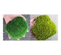 prefleur 2 Color Mix Pack Preserved Pole Moss Pillow Bun Cushion Natural Decorative DIY Kit Art Wall Florist Decor Easter Table Decor Wedding(1.5 sq.ft, Green-C,Green-D)