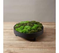 Prefleur 2 Color Mix Pack Preserved Pole Moss Pillow Bun Cushion Natural DIY Kit Art Wall Decor Florist Easter Table Wedding (1.5 sq.ft, Green-A, Green-B)