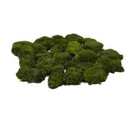 Prefleur Preserved Pole Moss Pillow Bun Cushion Natural Green Decorative DIY Kit for Terrariums, Gardening, Art Wall Decor, Florist, Easter Table, Wedding (Green-A, 1.5 sq.ft.)