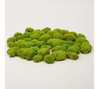 Prefleur Preserved Pole Moss Pillow Bun Cushion Natural Green Decorative Real Natural Green DIY Kit Gardenning Art Wall Decor Florist Decor Easter Table Decor Wedding(1.5 sq.ft, Green-E)