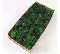 Prefleur Preserved Reindeer Craft Moss Natural DIY Kit Gardenning Art Wall Olive Green Florist Easter Table Decor Wedding(0.85lb)(Green-12)