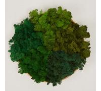 prefleur Preserved Reindeer Craft Moss Natural Green DIY Kit Garden Art Wall Decor Florist Easter Table Decor and Wedding Decor (11lbs/06kg)(Green-02/06/13/14/15), Style 20