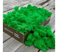 Prefleur Preserved Reindeer Craft Moss Natural Green DIY Kit Gardenning Art Wall Decor Florist Easter Table Decor Wedding Decor (0.85lb)(Green-13)