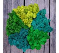 Prefleur Preserved Reindeer Mix Craft Moss Natural Green DIY Kit Gardenning Art Wall Decor Florist Easter Table Decor Wedding Decor (1lb)(Green-8 Green-5 Green-16 Green-13 Green-17)(Style-26)