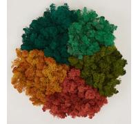 Prefleur Preserved Reindeer Mix Craft Moss Natural Green DIY Kit Gardenning Art Wall Decor Florist Easter Table Decor Wedding Decor (1lb)(Green-05 Fall-Yellow Red-Orange Green-10-2 Blue)(Style-6)