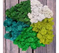 Prefleur Preserved Reindeer Mix Craft Moss Natural Green DIY Kit Gardenning Art Wall Decor Florist Easter Table Decor Wedding Decor (1lb)(White-01 Green-08 Green-13 Green-17 Green-4)(Style-32)