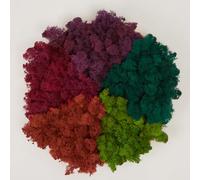 Prefleur Preserved Reindeer Mix Craft Moss Natural Green DIY Kit Gardenning Art Wall Decor Florist Easter Table Decor Wedding Decor (1lb)(Green-16 Green-02 Violet Magenta Coral)(Style-2)