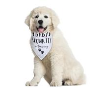 Pregnancy Announcement, Baby Security in Training Printed Dog Bandana, Baby Announcement for Photo Prop Party Supplie, Gender Reveal Decorations, Funny Gifts