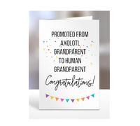 Pregnancy Announcement Card, Grandad Grandma to Be Gifts from Bump Baby, for Axolotl, Grand Parents, Ideas, Human, Reveal, Best, Family, Promoted to, A5-217_8