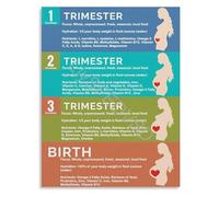 Pregnancy Nutrition Hydration Handbook Poster A Trimester by Trimester Guide for Prenatal Wellness Wall Art(Framed,16x24inch(40x60cm))