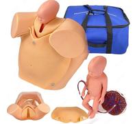 Pregnant Woman Delivery Model, Midwifery Training with 2 Fetuses, 2 Placentas & 2 Umbilical Cords, Childbirth Simulator, Life Size Pelvic Anatomical Model, Child Birth Education Tools
