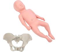 Pregnant Woman Pelvic Delivery Model - Midwifery Training Model, with Separable 18.9-inch Baby and Pelvis, the Sacroiliac Joint is Movable for Childbirth Education Tools,Female
