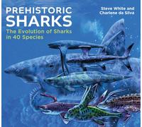 Prehistoric Sharks : The Evolution of Sharks in 40 Species