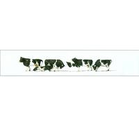 Preiser 10145 Cows, Black Spotted, H0