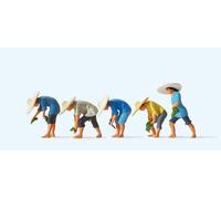 Preiser 10572 At the Rice Field (5) Exclusive Figure Set