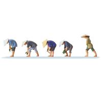Preiser 10574 At the Rice Field (5) Exclusive Figure Set
