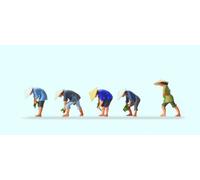 Preiser 10574 At the Rice Field (5) Exclusive Figure Set