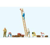 Preiser 10720 Apple Harvest (6) Exclusive Figure Set