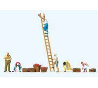 Preiser 10720 Apple Harvest (6) Exclusive Figure Set