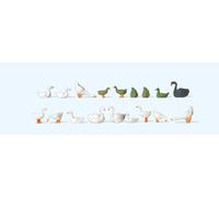 Preiser 14167 HO/OO Gauge Ducks/Geese/Swans (15) Standard Figure Set