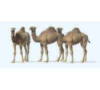 Preiser 20397 HO/OO Gauge Circus Dromedary Camels (3) Figure Set