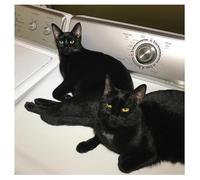 Prekop, Sam & Mcentire, John - Sons of (2lp) [VINYL]