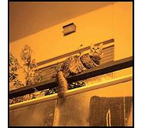 Prekop, Sam - The Republic