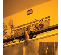 Prekop,Sam - The Republic [VINYL]