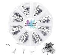 Premade Fans Eyelash Extension 500 Fans 6D 0.07mm D Curl 9-16mm Mixed Tray Pre Made Fans Loose Handmade Volume Lash Extensions Pointed Thin Base Promade Fans Loose(500-6D-0.07-D-916)