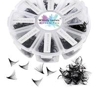 Premade Fans Eyelash Extension 500pcs 30D 0.07mm D Curl 9-16mm Mixed Tray Pre Made Fan Lashes Loose Handmade Volume Lash Extensions Pointed Thin Base Black PBT Fibre