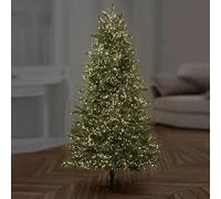 Premier 1000 LED Multi-Action Treebrights, Warm White with Green Cable and Easy Use Timer, 2.1m Tree [Energy Class A]
