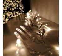 Premier Multi Action Cluster Brights with Timer 960 LED Warm White/Clear