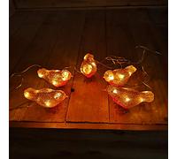 Premier 16cm 5pc Acrylic Christmas Robin